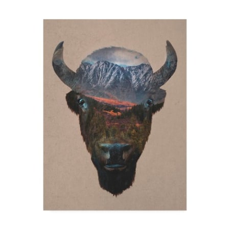 Davies Babies 'Bison Peak' Canvas Art,18x24